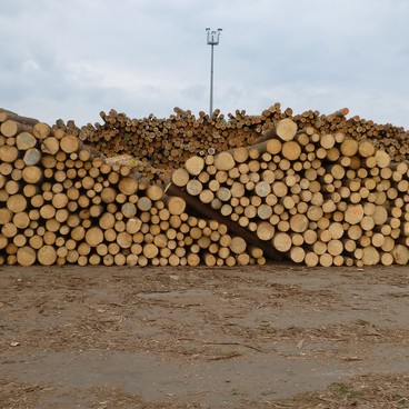 Obchod se dřevem