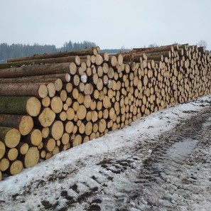 Obchod se dřevem – výkup a prodej dřeva