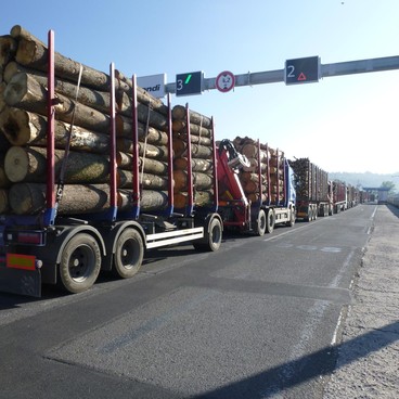 Odvoz dřeva
